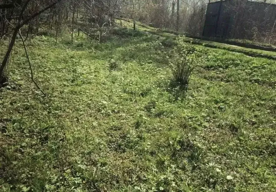 Участок в Нижегородская область, Нижний Новгород Маяк СТ,  (5.5 сот.) - Фото 2