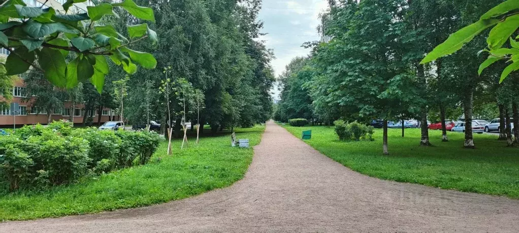 1-к кв. Санкт-Петербург аллея Поликарпова, 8к1 (32.4 м) - Фото 1