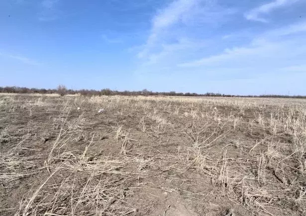 Участок в Краснодарский край, Ейск  (6.0 сот.) - Фото 2
