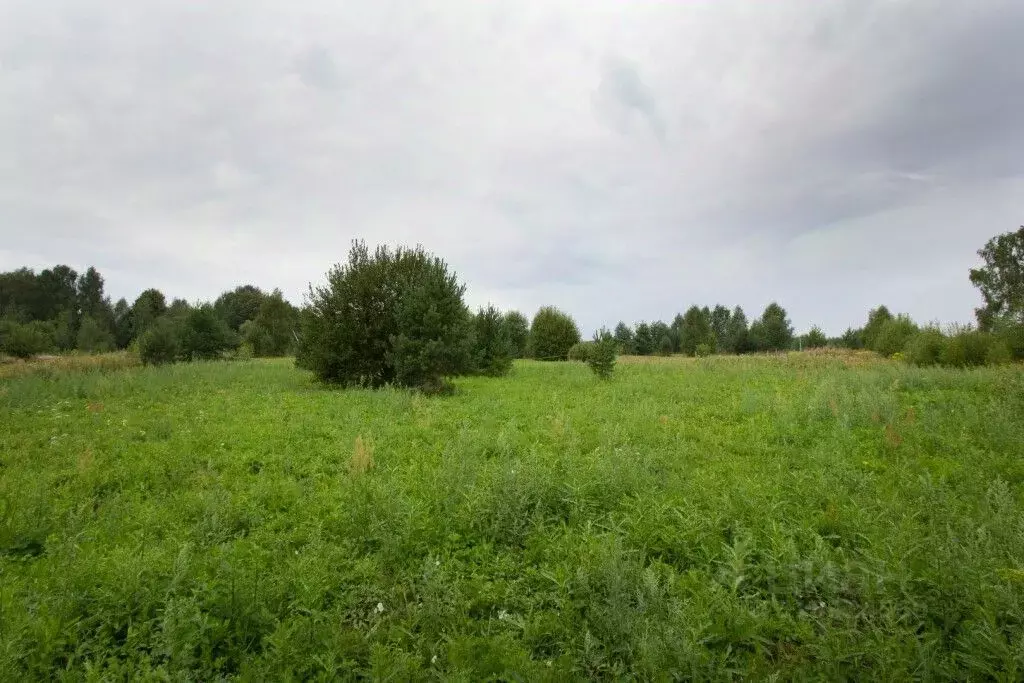 Участок в Владимирская область, Судогодский район, Лавровское ... - Фото 0