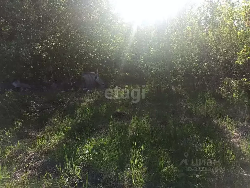 Участок в Башкортостан, Стерлитамак Дружба СНТ,  (4.0 сот.) - Фото 1