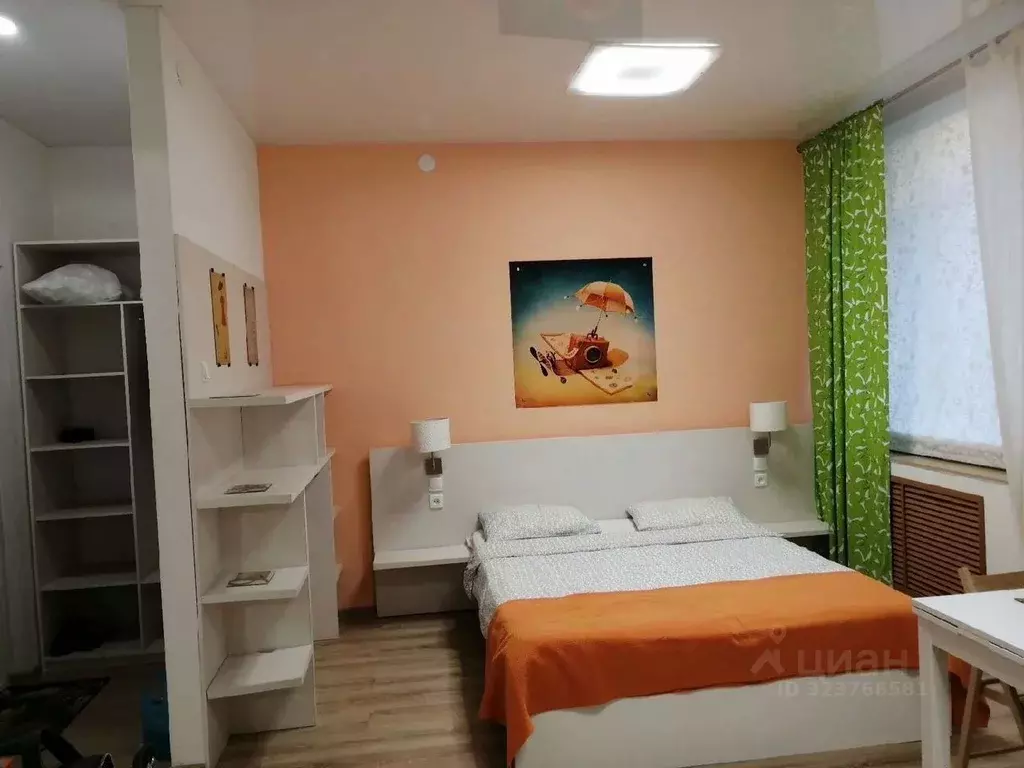 Студия Псковская область, Псков Народная ул., 15 (25.0 м) - Фото 1