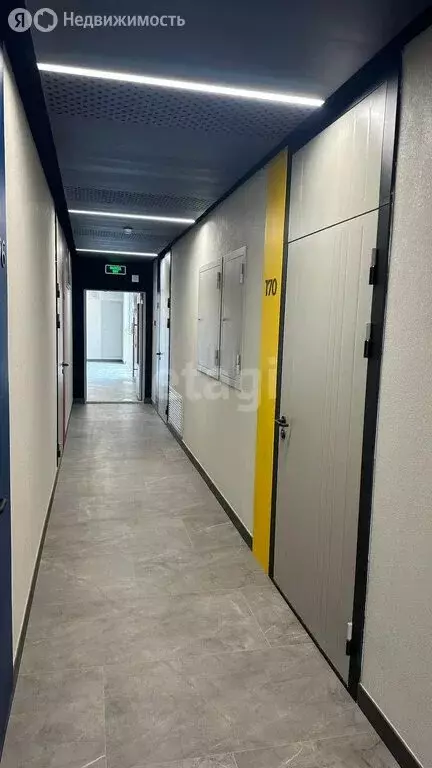 Квартира-студия: Новосибирск, улица Никитина, 67 (28.5 м) - Фото 2