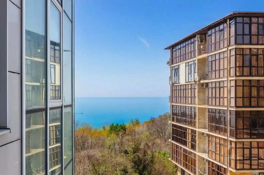 1-к кв. Краснодарский край, Сочи Малый Ахун мкр, ул. Дорога на Большой ... - Фото 1