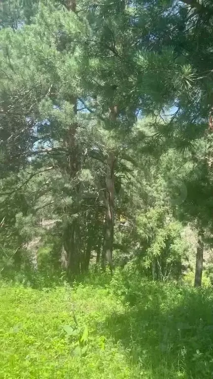 Участок 12 сот. (ИЖС) - Фото 0