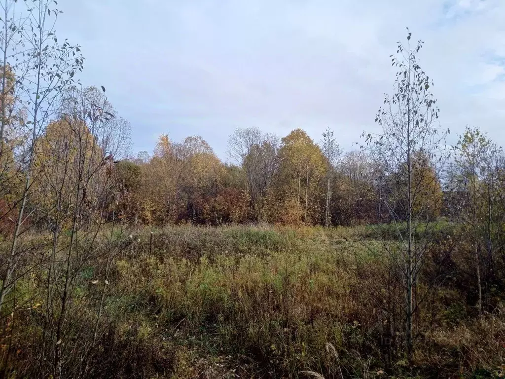 Участок в Ленинградская область, Волховский район, Кисельнинское ... - Фото 1