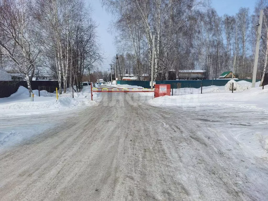 Участок в Новосибирская область, Новосибирский район, Барышевский ... - Фото 2