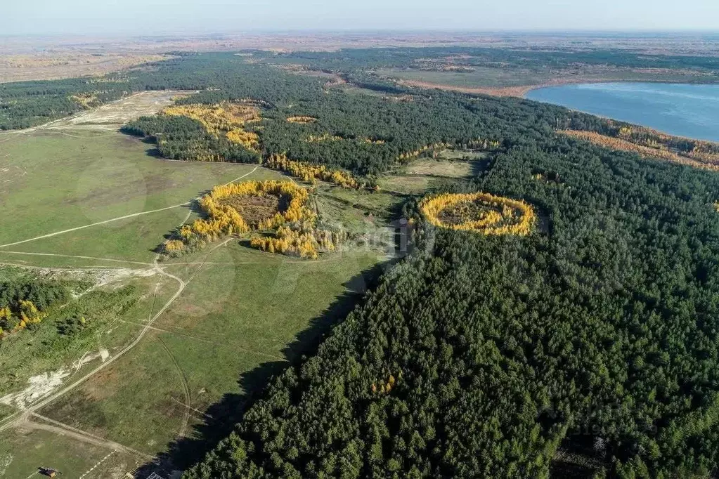 Участок в Тюменская область, Тюменский район, д. Криводанова  (51.07 ... - Фото 0