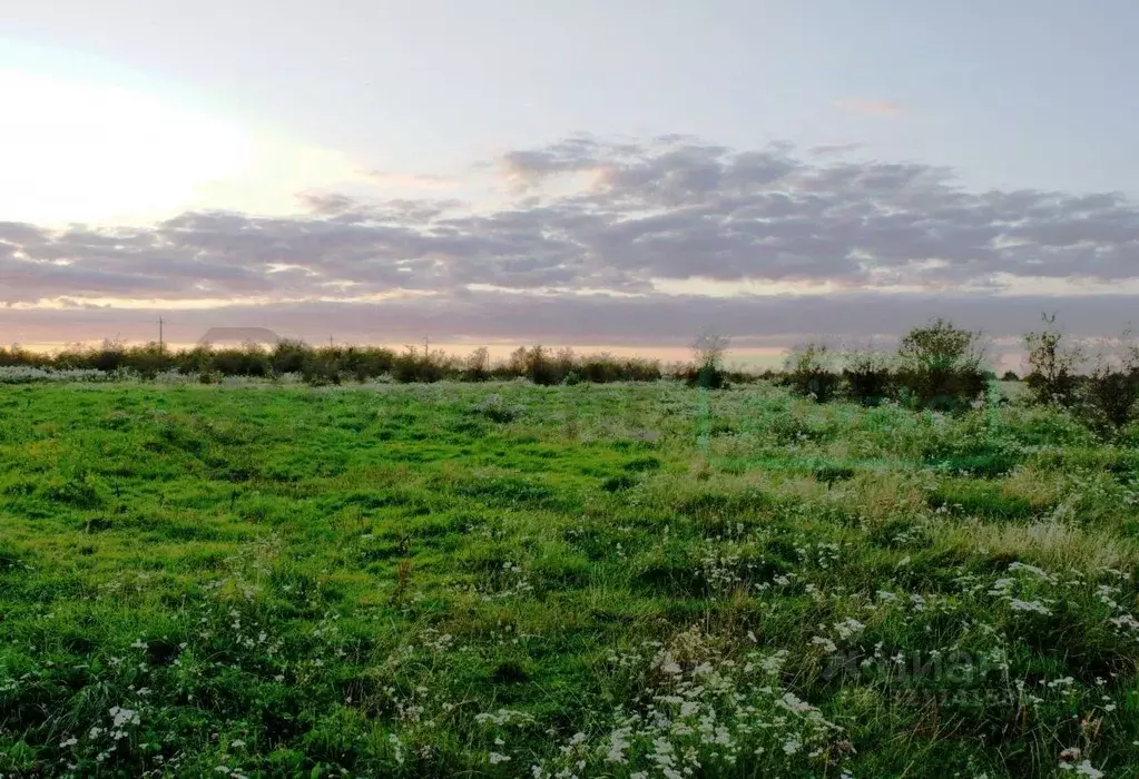 Участок в Калининградская область, Багратионовский муниципальный ... - Фото 1