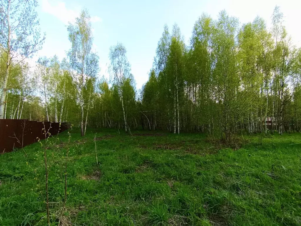 Участок в Московская область, Дмитровский муниципальный округ, д. ... - Фото 1