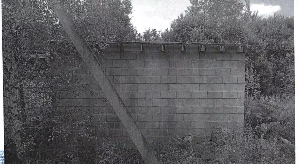 Помещение свободного назначения в Московская область, Щелково ... - Фото 2