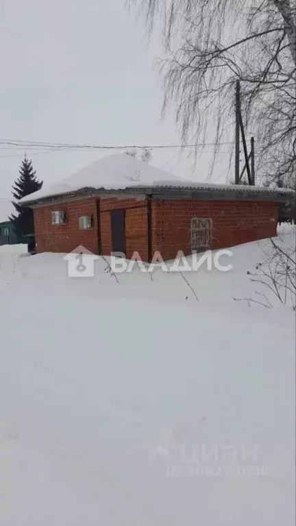 Торговая площадь в Нижегородская область, Богородский муниципальный ... - Фото 1