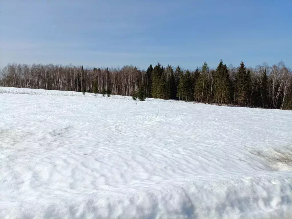 Участок в Калужская область, Жуковский муниципальный округ, д. ... - Фото 2