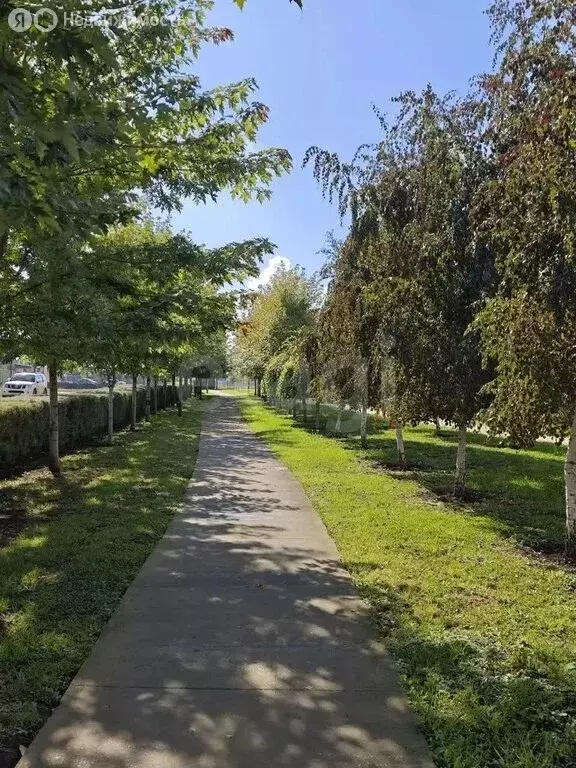 Дом в Краснодар, улица имени Тита Кононеца, 6/1 (195 м) - Фото 2