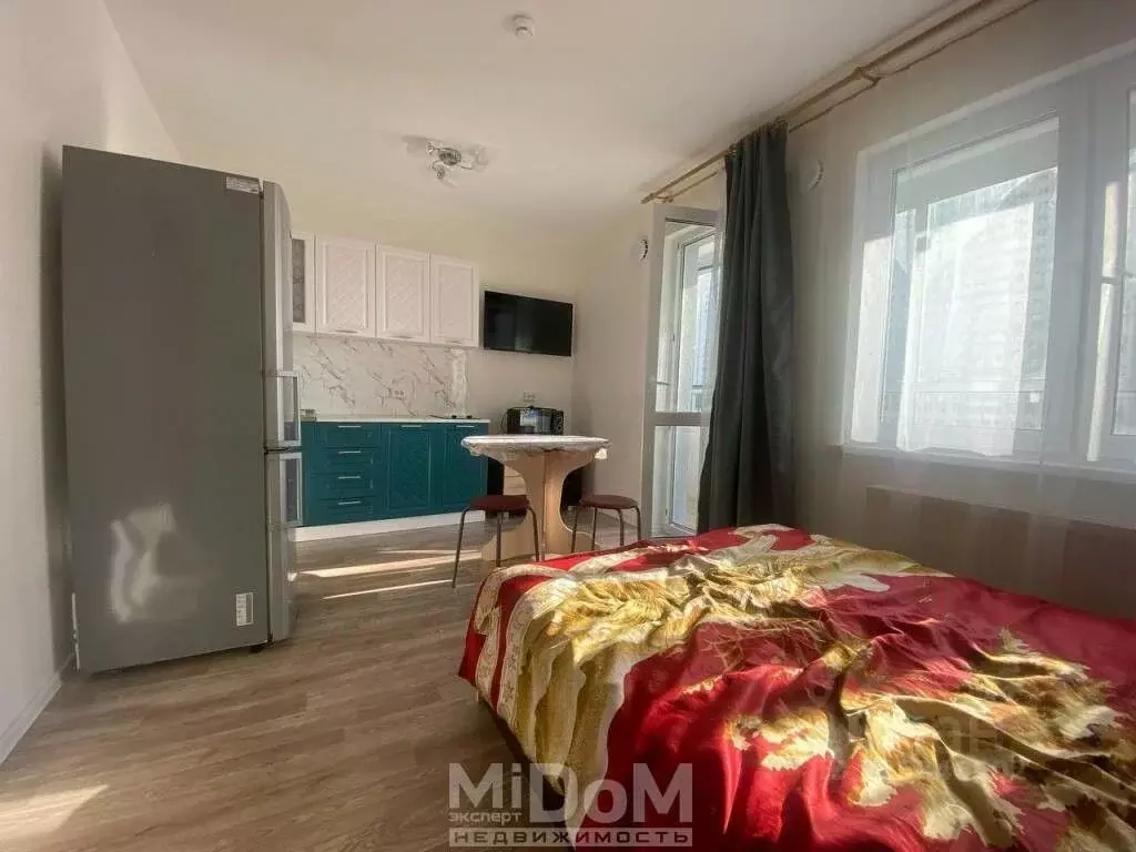 Студия Санкт-Петербург дор. Муринская, 8к4 (25.2 м) - Фото 1