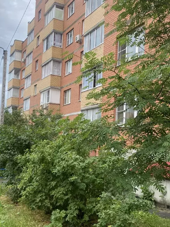 1-к кв. Московская область, Люберцы городской округ, Марусино пгт ул. ... - Фото 2
