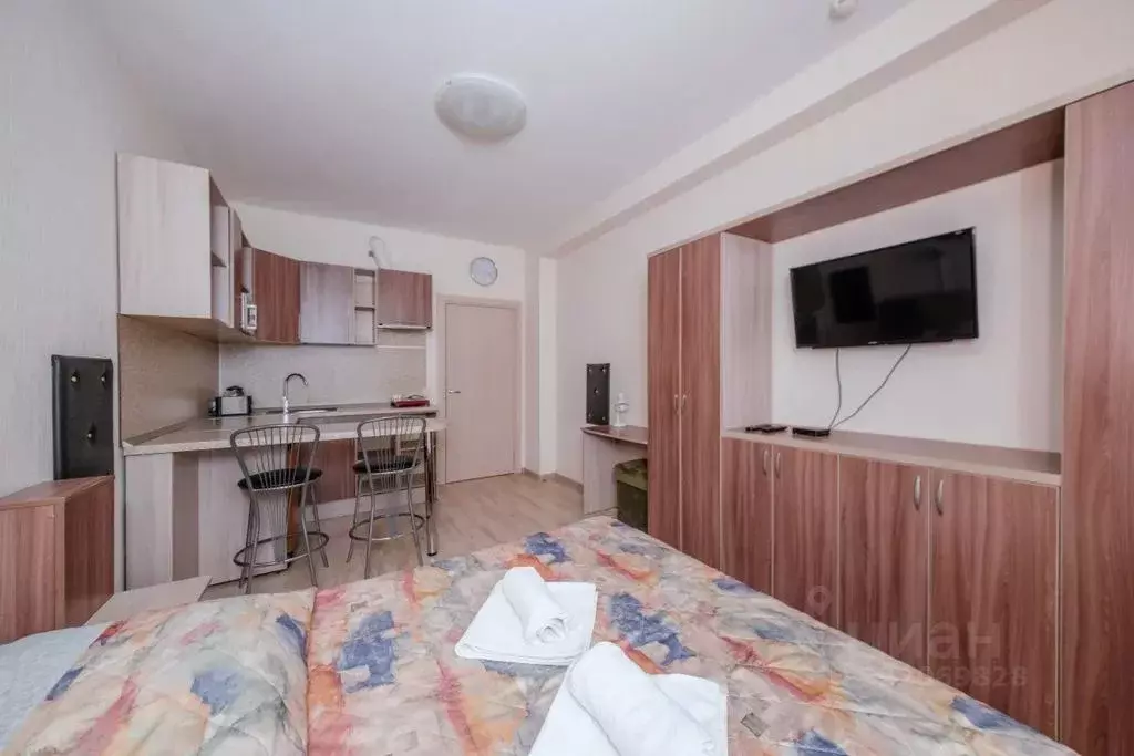 Студия Санкт-Петербург Пулковское ш., 14Е (24.0 м) - Фото 2