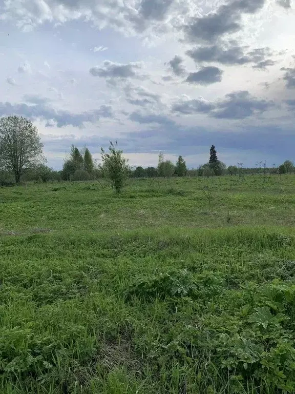 Участок в Тверская область, Осташковский муниципальный округ, д. ... - Фото 1