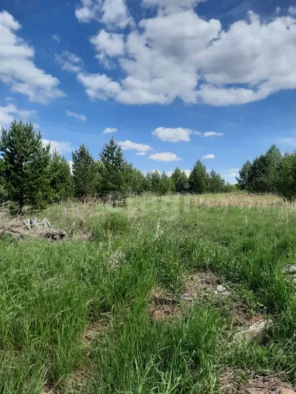 Участок в Свердловская область, Горноуральский городской округ, д. ... - Фото 1