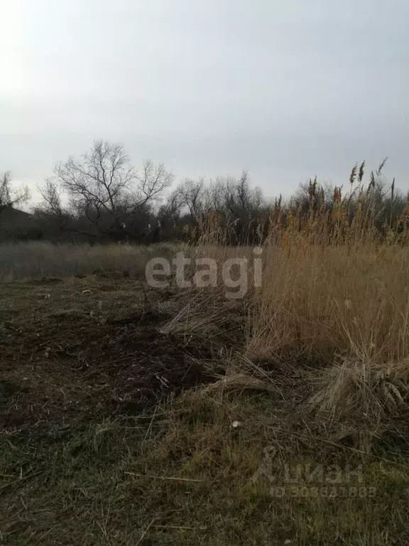 Участок в Крым, Сакский район, Новофедоровка пгт ул. Черноморская (1.0 ... - Фото 1