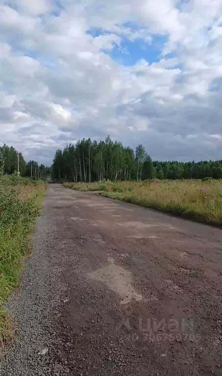 Участок в Московская область, Дмитровский городской округ, д. Каменка  ... - Фото 1