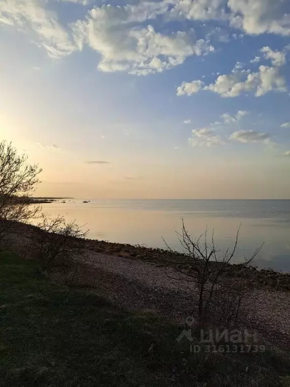 Участок в Новгородская область, Старорусский район, Наговское с/пос, ... - Фото 0