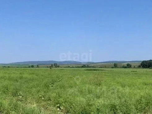 Участок в Краснодарский край, Новороссийск городской округ, ... - Фото 1