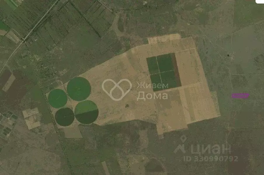 Участок в Волгоградская область, Среднеахтубинский район, ... - Фото 1