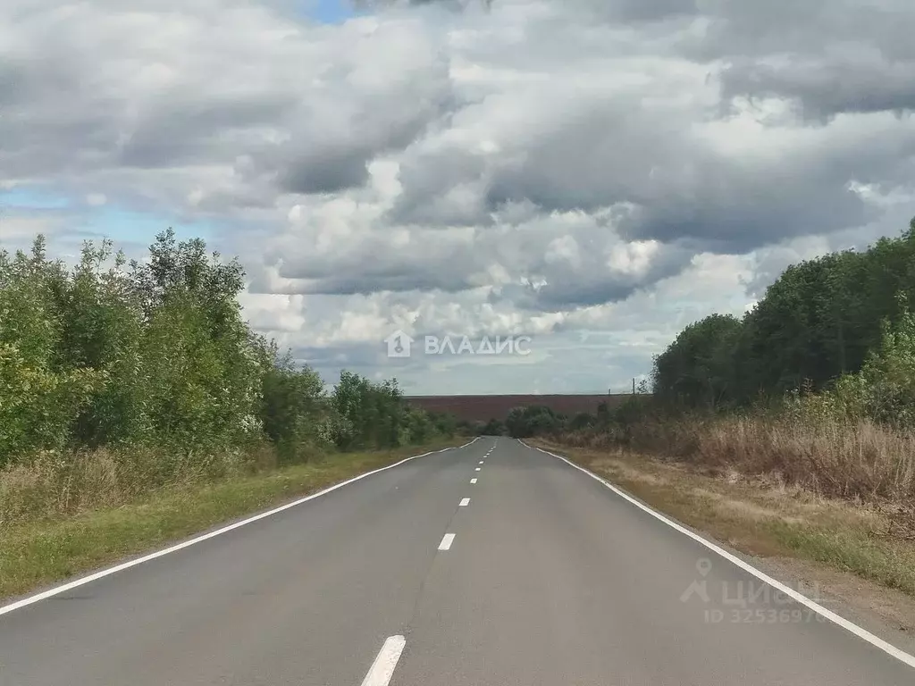 Участок в Владимирская область, Суздальский район, Селецкое ... - Фото 1