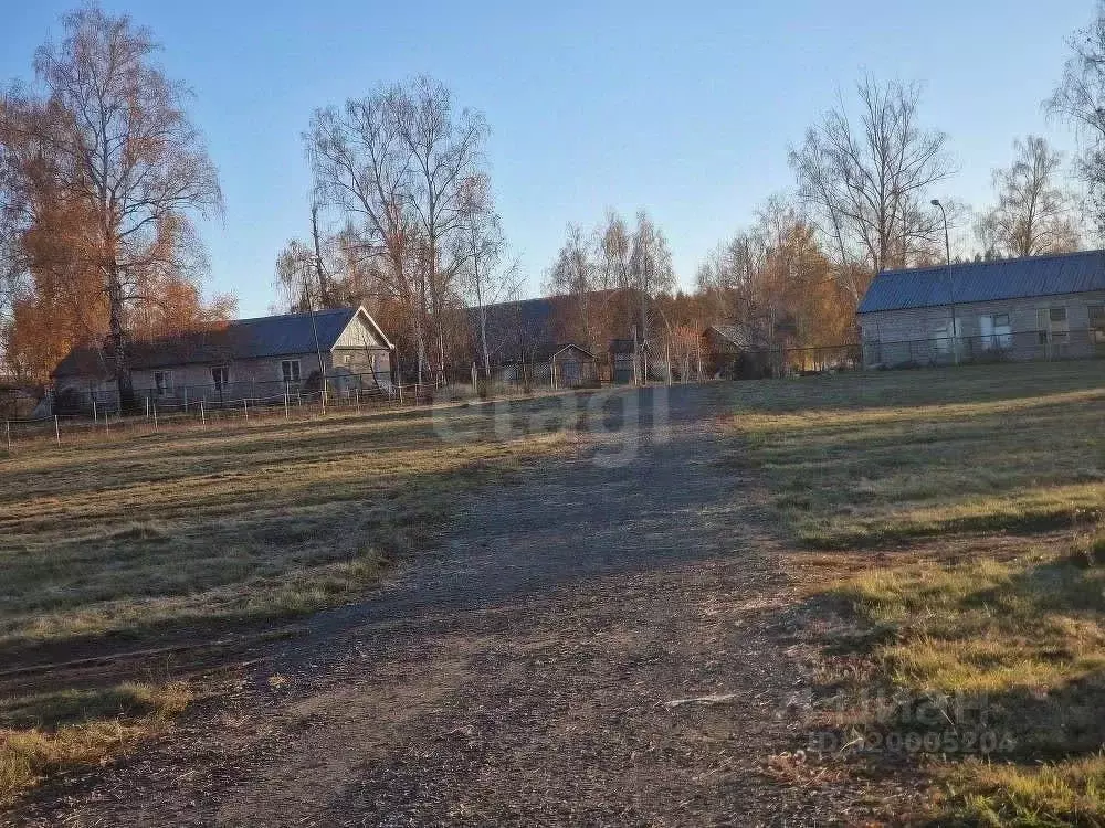 Склад в Башкортостан, Чишминский район, Кара-Якуповский сельсовет, с. ... - Фото 2