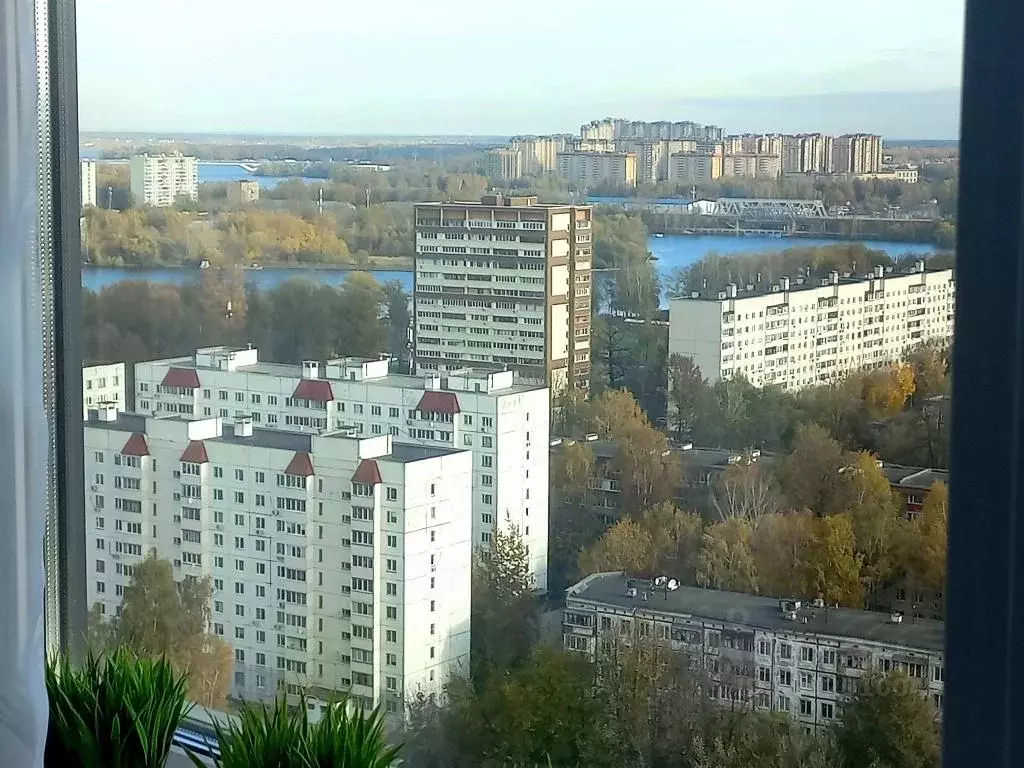 1-к кв. Московская область, Долгопрудный Парковая ул., 44к1 (25.0 м) - Фото 1