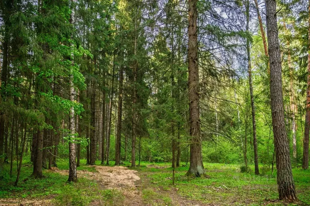 Участок в Московская область, Одинцовский городской округ, пос. ... - Фото 1