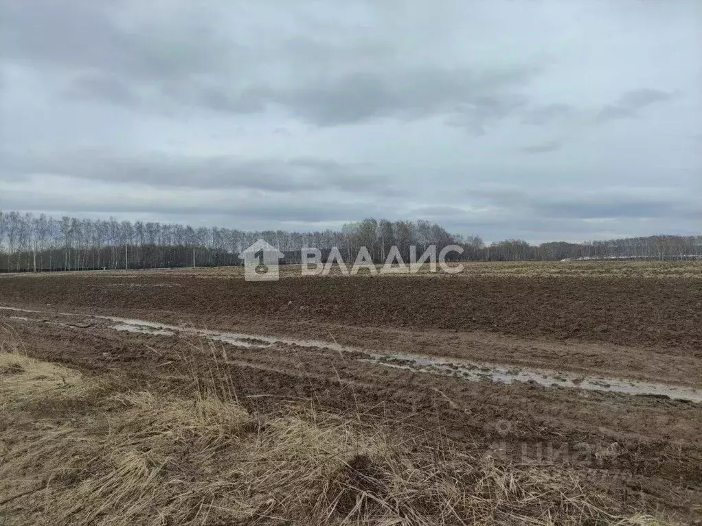 Участок в Нижегородская область, Богородский муниципальный округ, с. ... - Фото 1