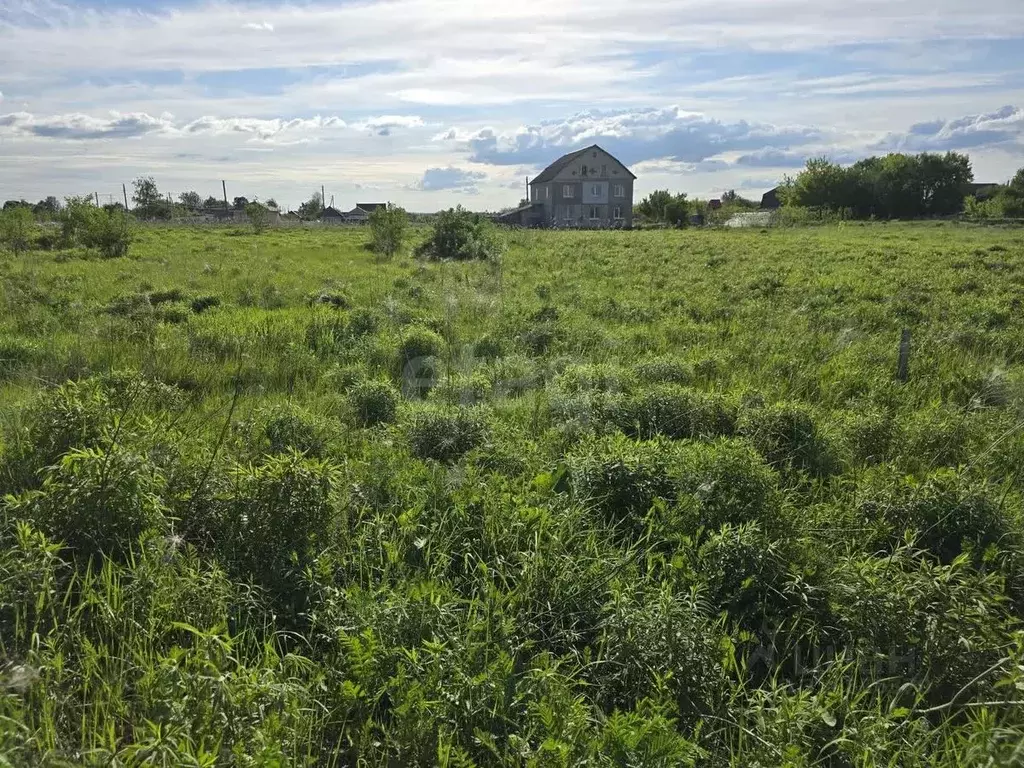 Участок в Брянская область, Брянский район, Отрадненское с/пос, д. ... - Фото 2