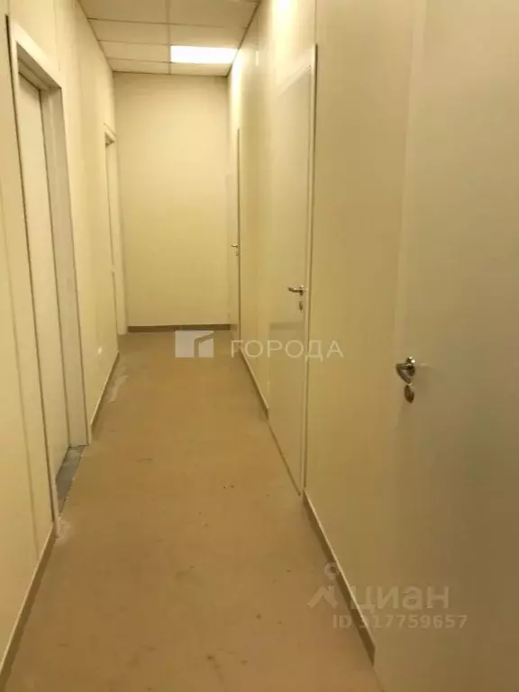Помещение свободного назначения в Новосибирская область, Новосибирск ... - Фото 1