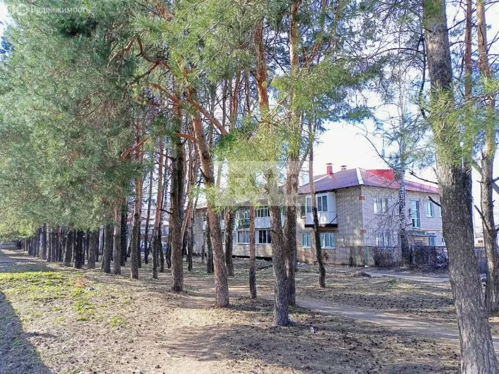 1-комнатная квартира: село Осиново, улица 40 лет Победы, 13 (34.7 м) - Фото 0