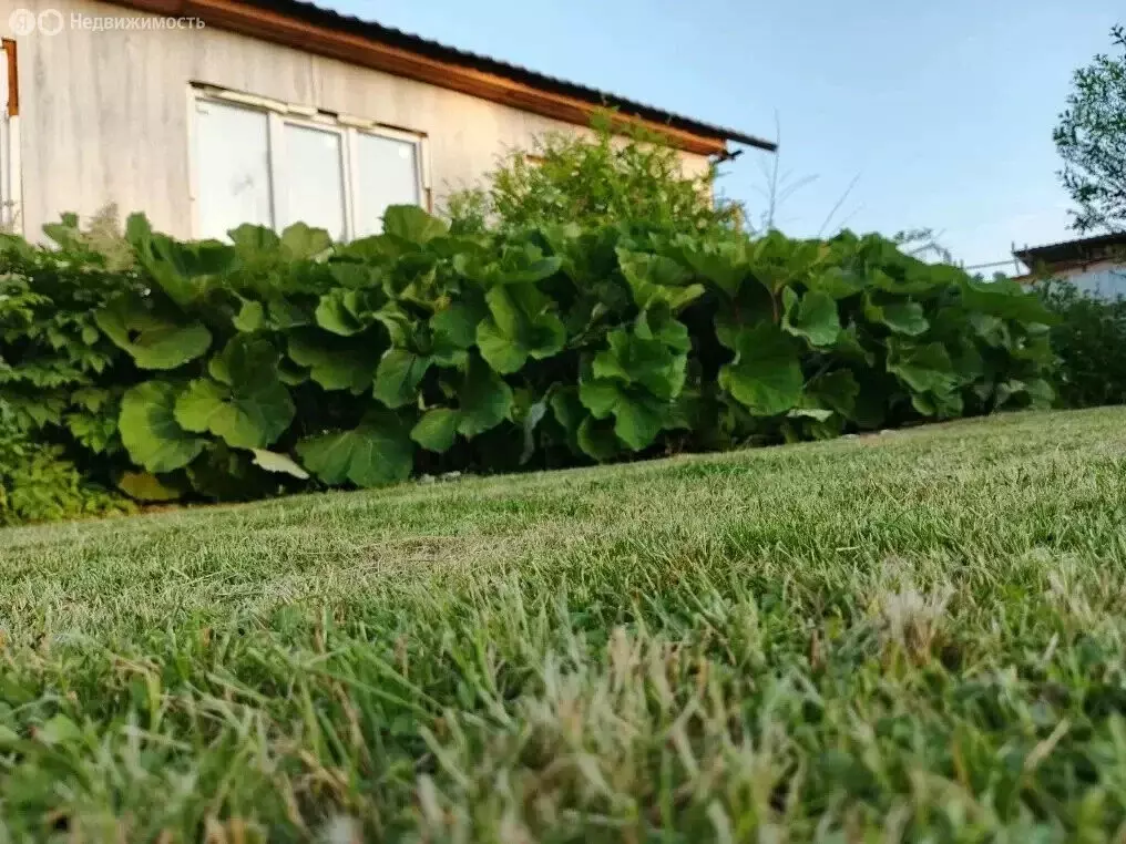 Дом в село Толмачёво, улица Ватутина, 7 (150 м) - Фото 1