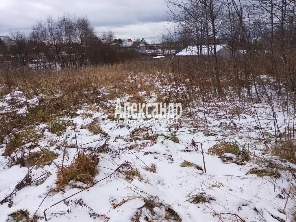 Участок в Ленинградская область, Волховский район, Колчановское с/пос, ... - Фото 1