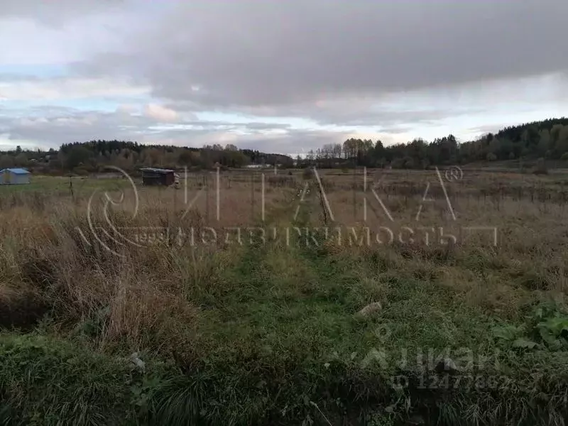 Участок в Ленинградская область, Выборгский район, Каменногорское ... - Фото 0