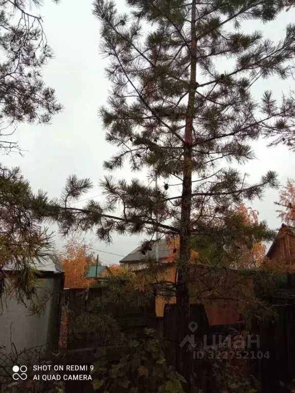 Участок в Саха (Якутия), Якутск пер. Сунтарский, 9 (6.0 сот.) - Фото 2