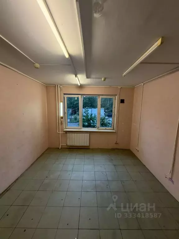 Студия Санкт-Петербург ул. Шотмана, 18к2 (18.1 м) - Фото 2
