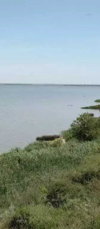Участок в Ростовская область, Азовский район, с. Круглое ул. Горького ... - Фото 1