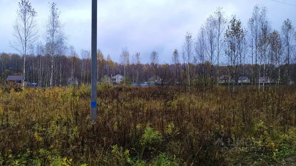 Участок в Московская область, Домодедово городской округ, с. Добрыниха ... - Фото 0