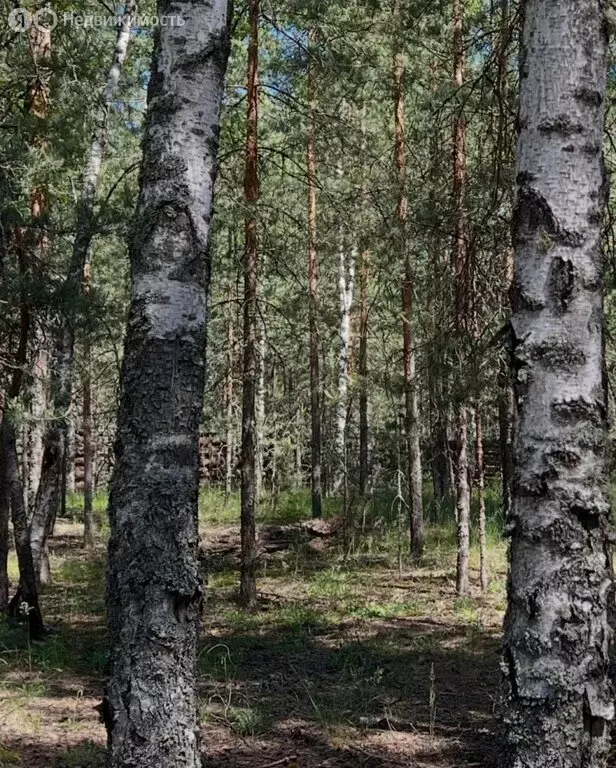 Участок в Нижегородская область, Володарский муниципальный округ, ... - Фото 1