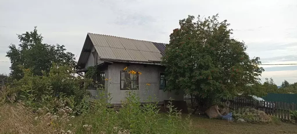 Участок в Красноярский край, Емельяновский муниципальный округ, Сухая ... - Фото 1