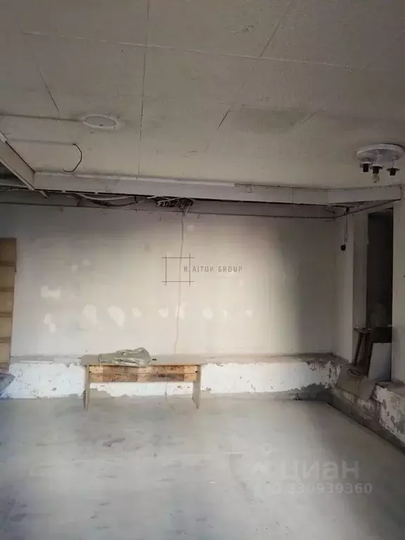 Помещение свободного назначения в Новосибирская область, Новосибирск ... - Фото 2