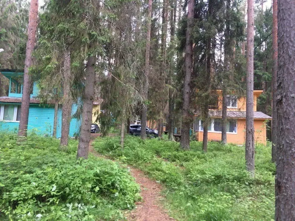 Дом в Вологодская область, Череповецкий район, д. Степаново  (60 м) - Фото 1