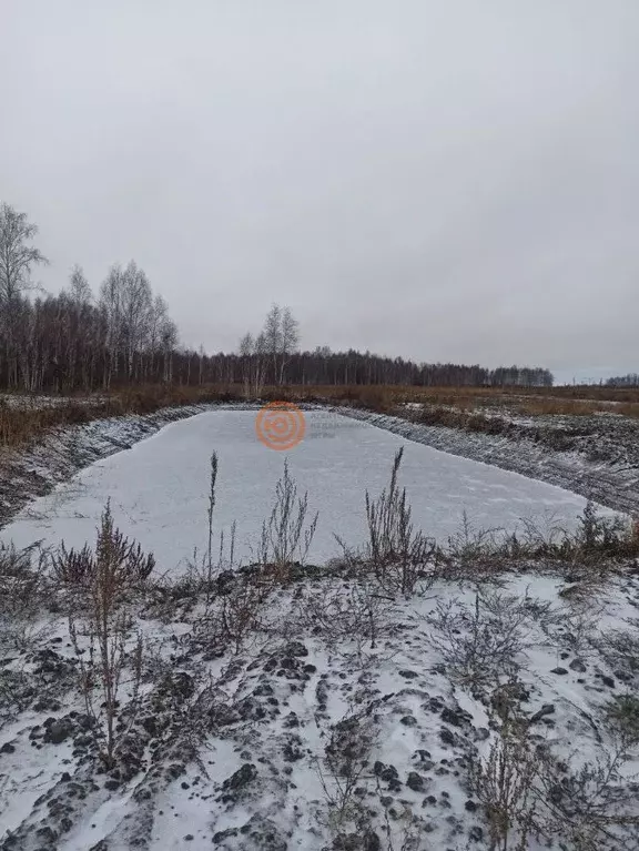 Участок в Тюменская область, Тюменский муниципальный округ, ... - Фото 2