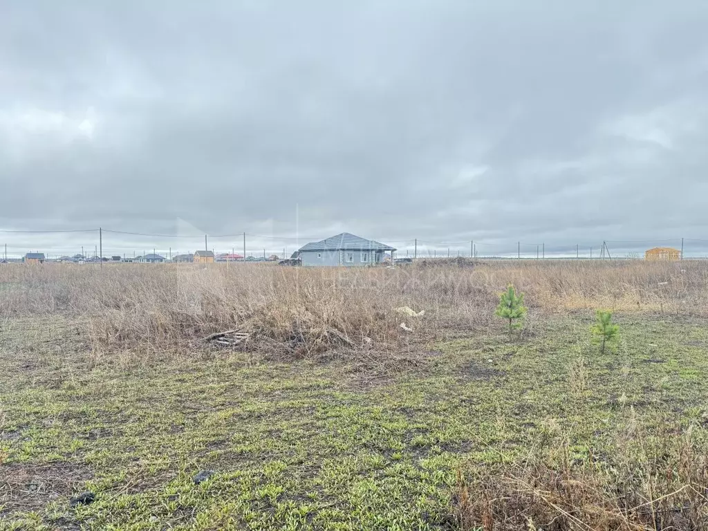 Участок в Тюменская область, Тюменский район, д. Дударева ул. ... - Фото 1