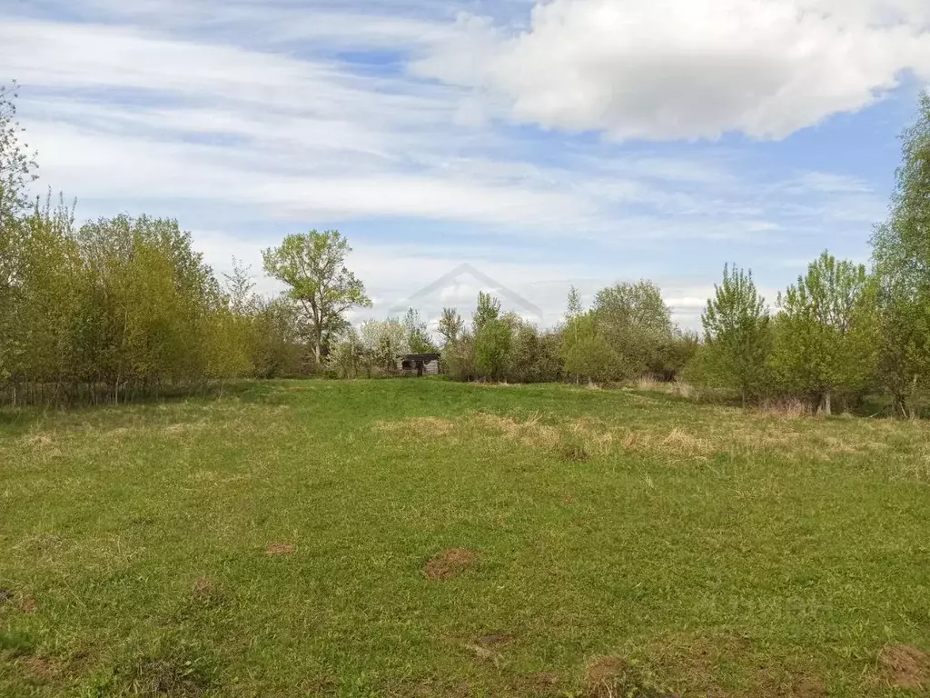 Участок в Калужская область, Козельский район, Киреевское-Первое ... - Фото 1